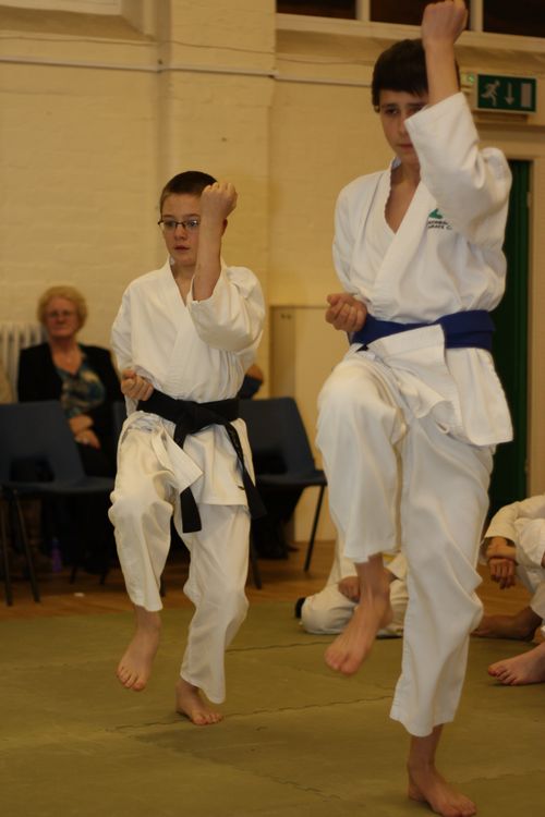 Karate image 4