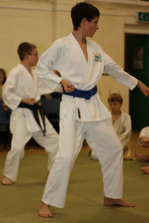 Karate image 5