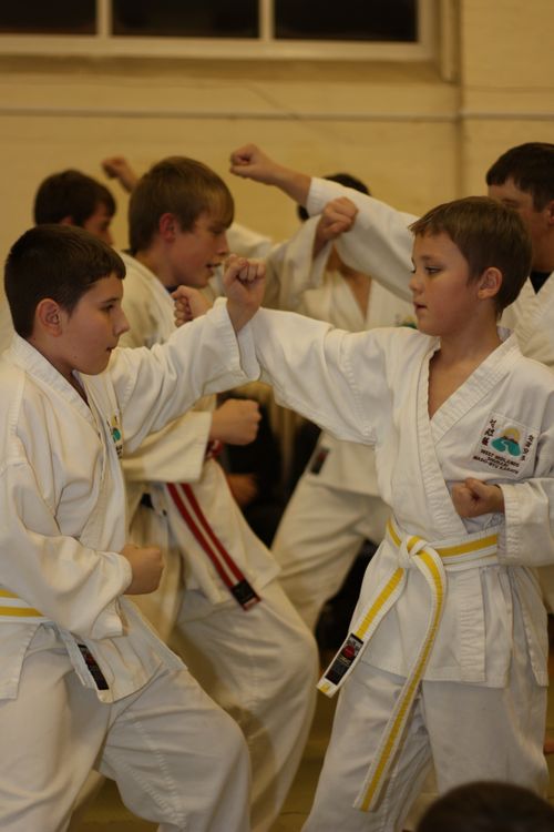 Karate image 7