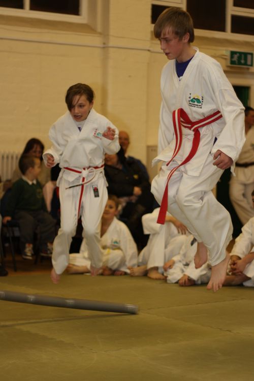 Karate image 9