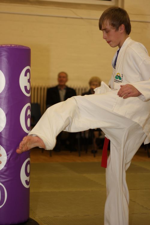 Karate image 10
