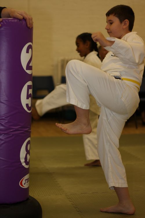 Karate image 11
