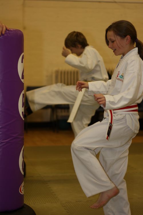 Karate image 12