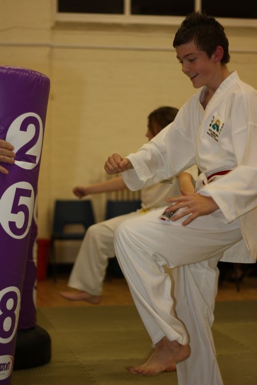 Karate image 13